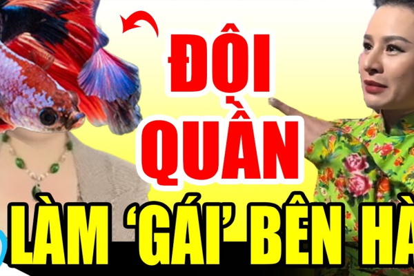 CĂNG: Chị Ni ‘vạch mặt’ quá khứ ‘gà mái’ của hoa hậu 7 màu bên HÀN, lần này đội cái gì đây?